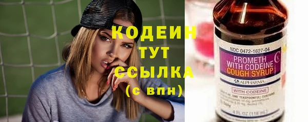 СК Осинники