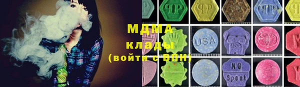 шишки Корсаков
