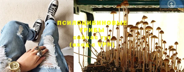 apvp Коряжма
