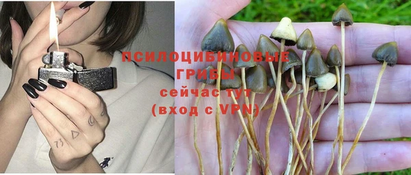 СК Осинники