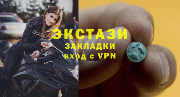 дживик Краснослободск