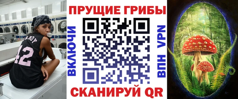 Галлюциногенные грибы ЛСД купить наркотик Кологрив